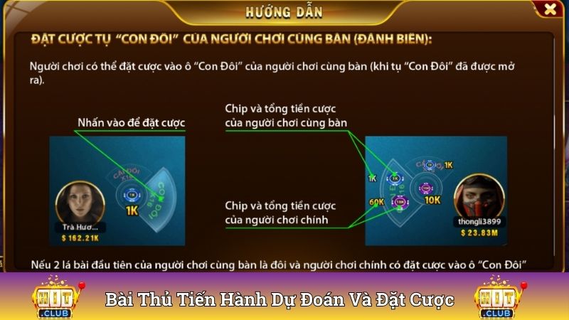 Bài thủ tiến hành dự đoán và tham gia đặt cược