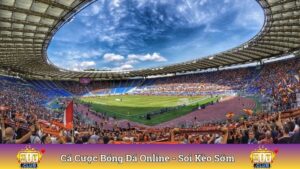 Cá Cược Bóng Đá Online