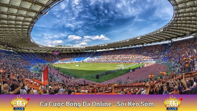 Cá Cược Bóng Đá Online