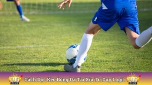 Cách Đọc Kèo Bóng Đá Tài Xỉu