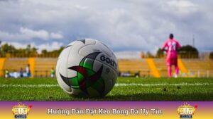 Hướng Dẫn Đặt Kèo Bóng Đá
