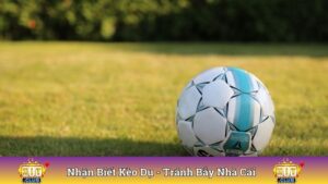 Nhận Biết Kèo Dụ