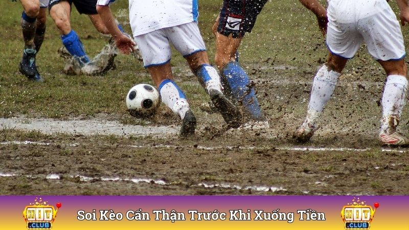 Soi kèo cẩn thận trước khi xuống tiền