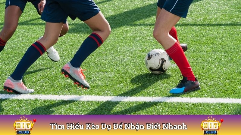Tìm hiểu kèo dụ để nhận biết nhanh