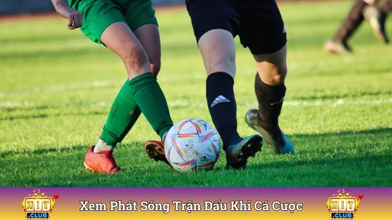 Xem phát sóng trận đấu khi cá cược bóng đá